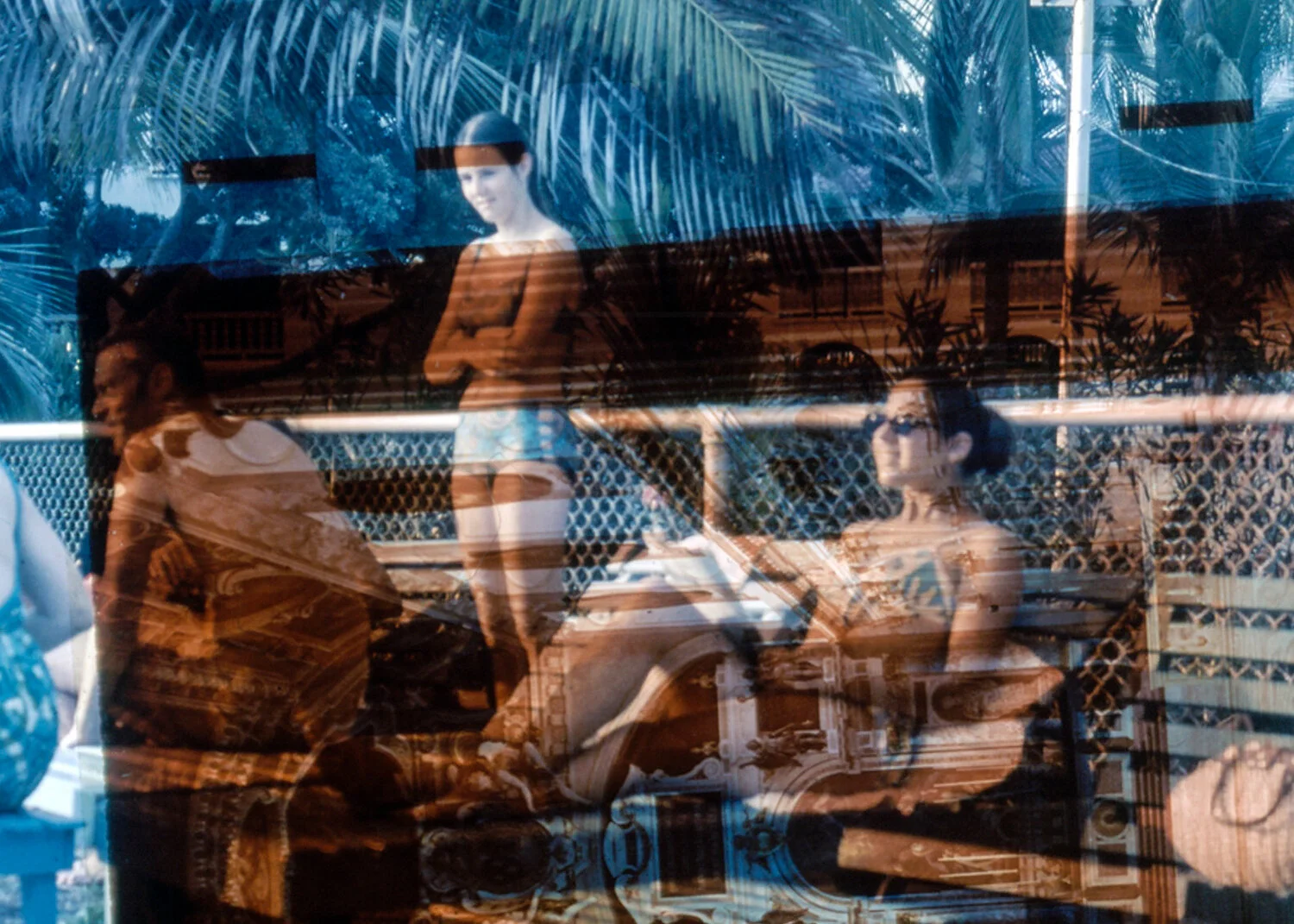 Shaded by Palm Leaves