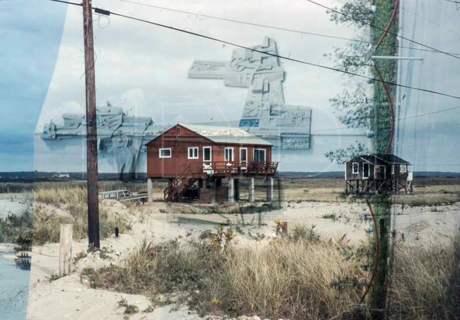 Pinetree point-