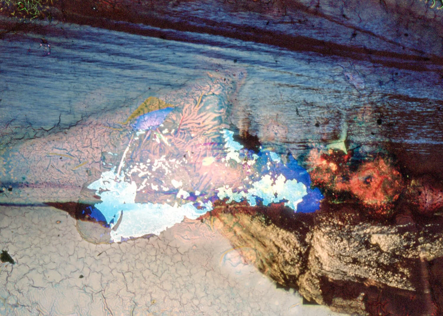 Holes in The Ozone