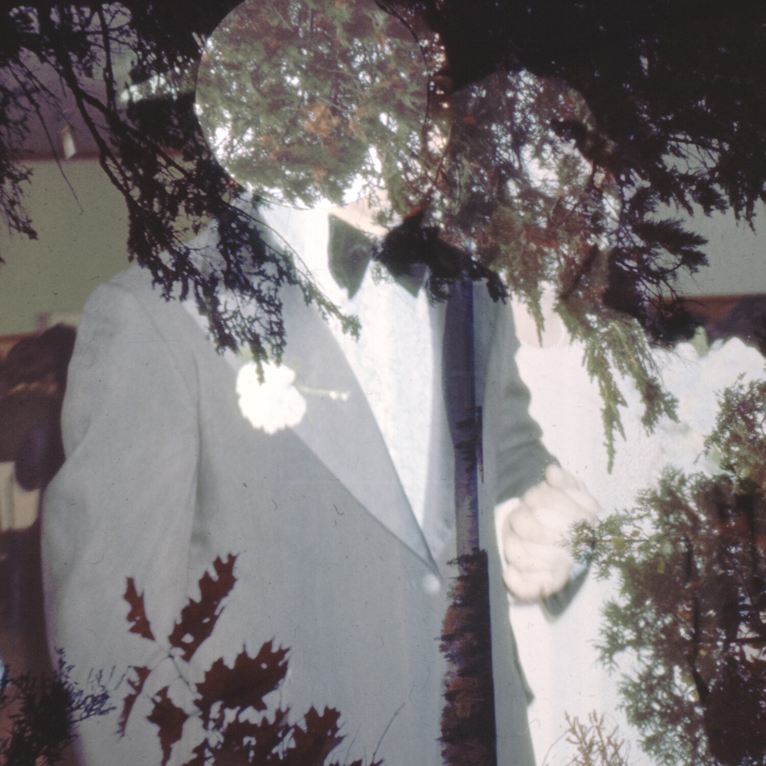 Matrimony