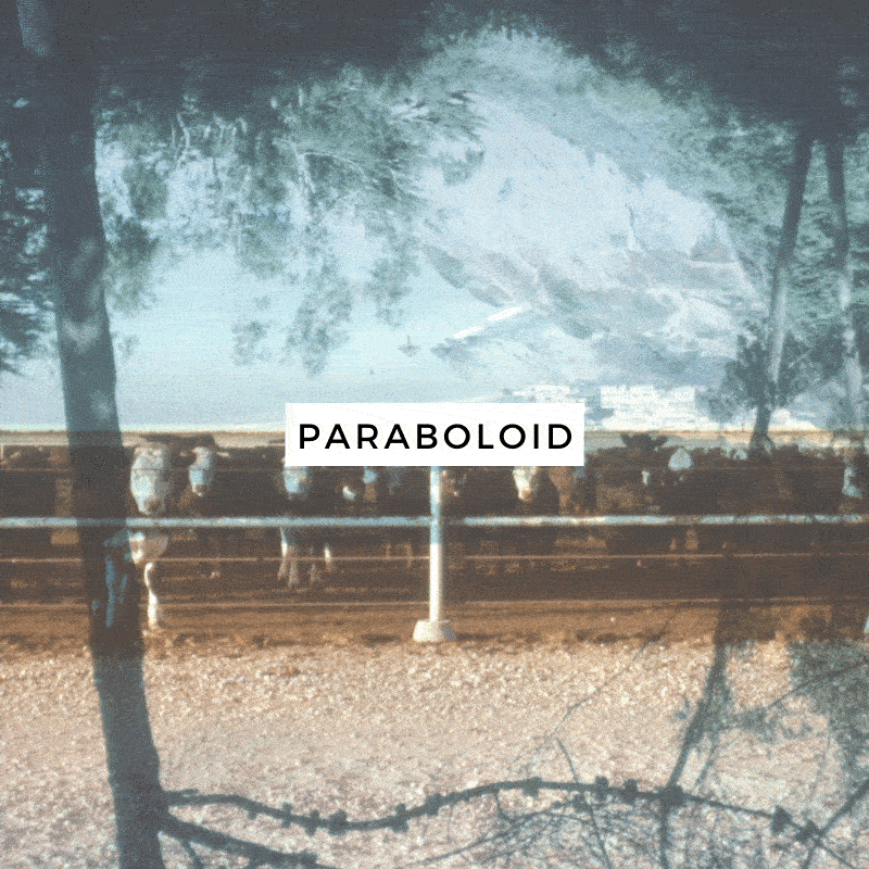 paraboloid-icon-2.gif