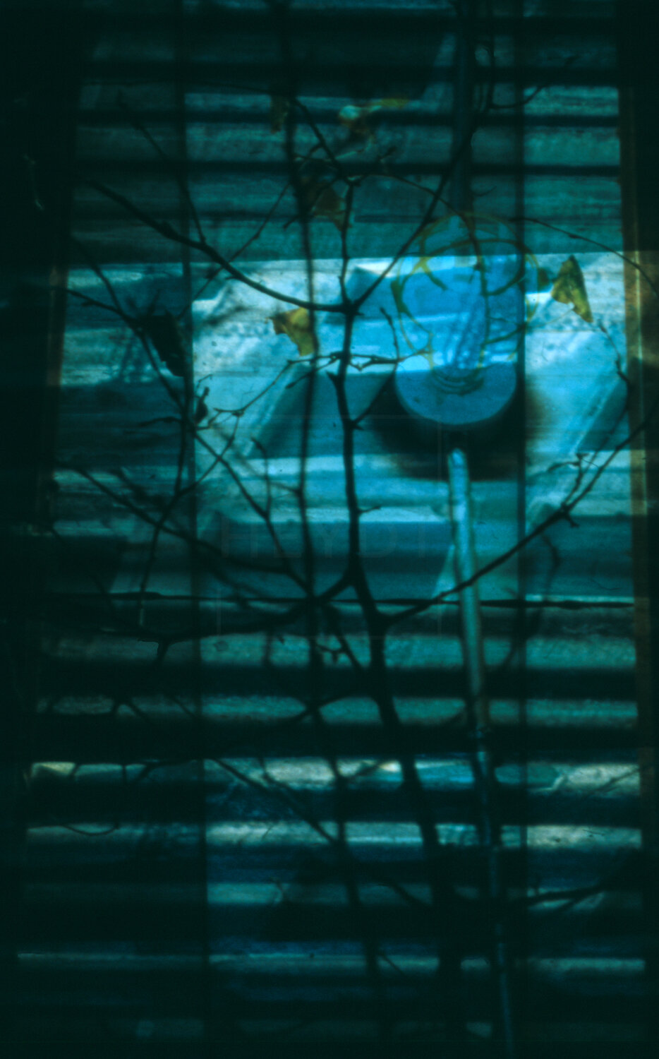 Closed Blinds