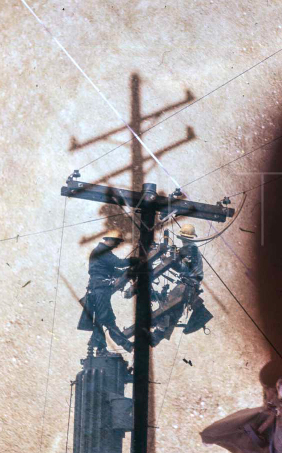 Telephone Pole