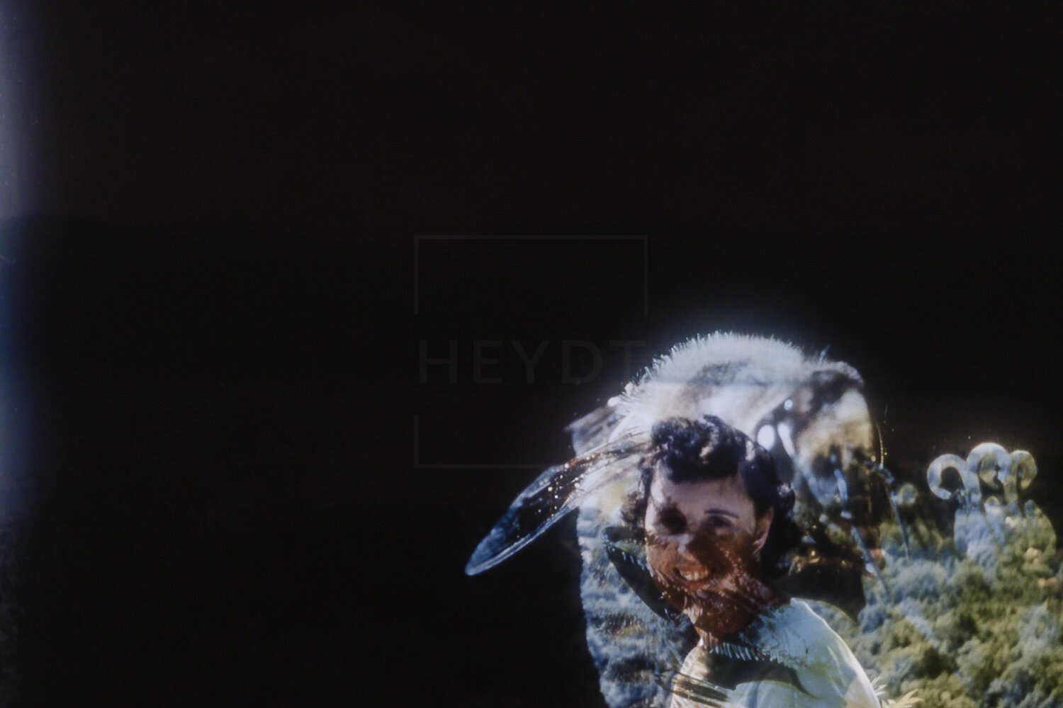 Hornet Smile