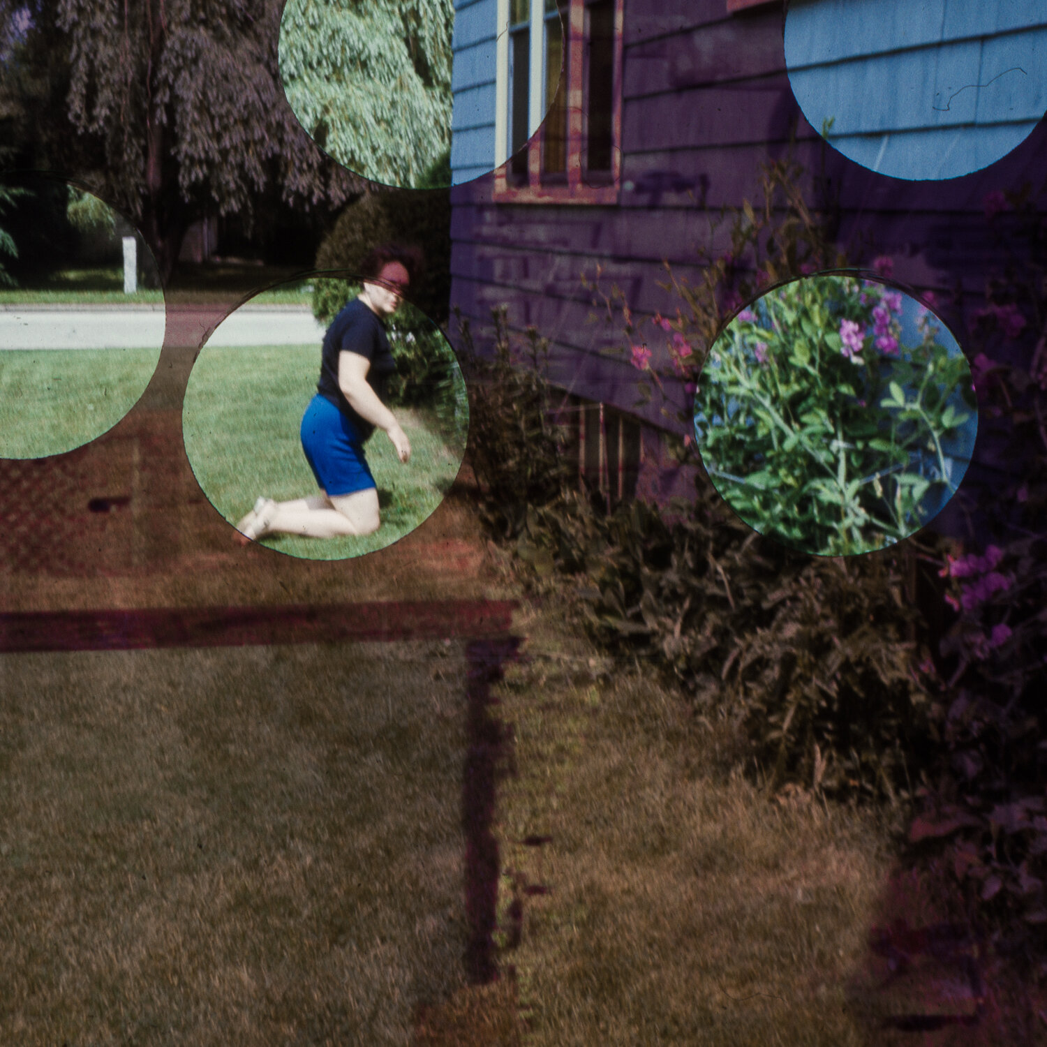Gardener
