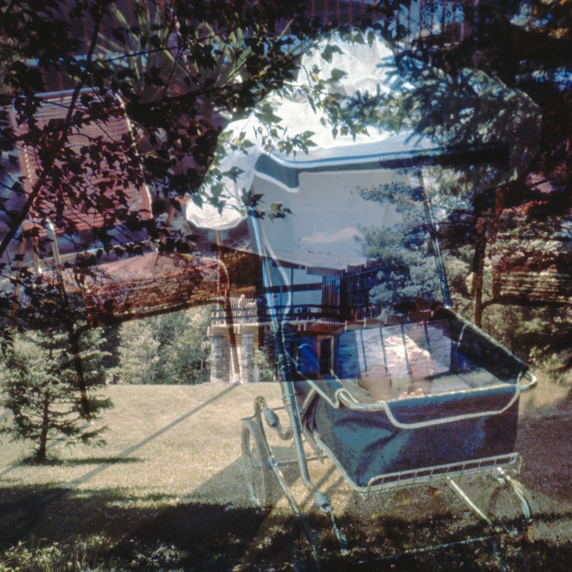  Sane Since Defrauded | HEYDT | 2018 | Chemically processed Hybrid Slide Transparencies | 