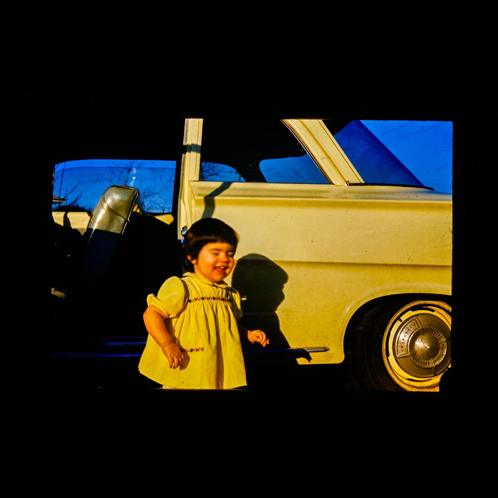  Appropriated Archive | HEYDT | 2020 | Slide Transparency | 20in x 20in | $1500 