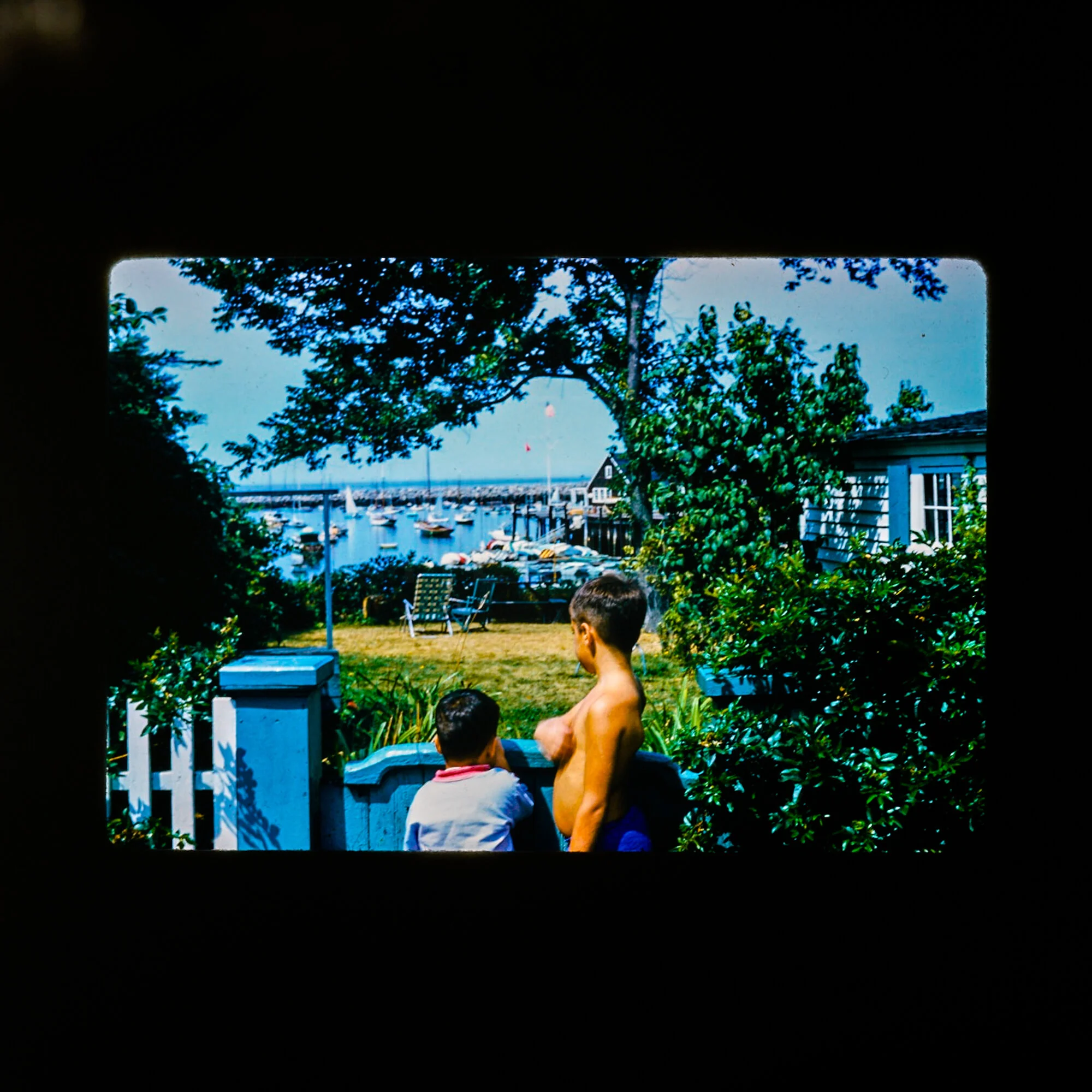  Appropriated Archive | HEYDT | 2020 | Slide Transparency | 20in x 20in | $1500 