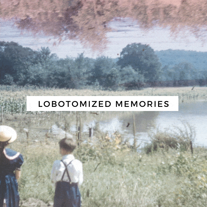 Lobotomized Memories-icons3.gif