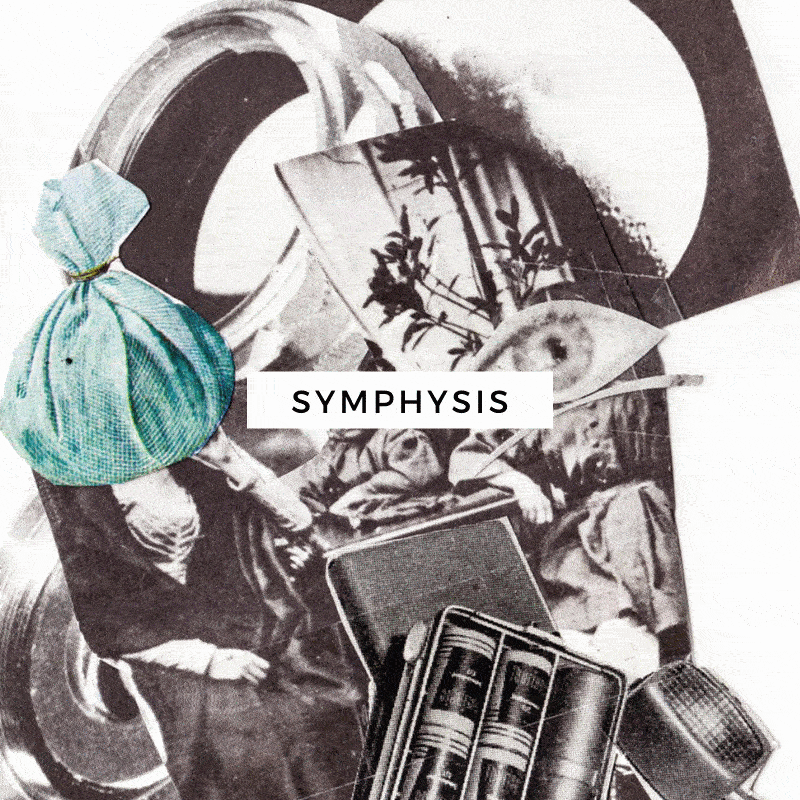 Symphsis-icon-3.gif