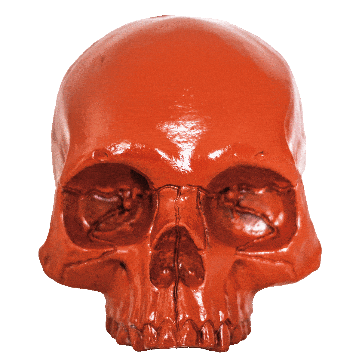 Colored Cranium