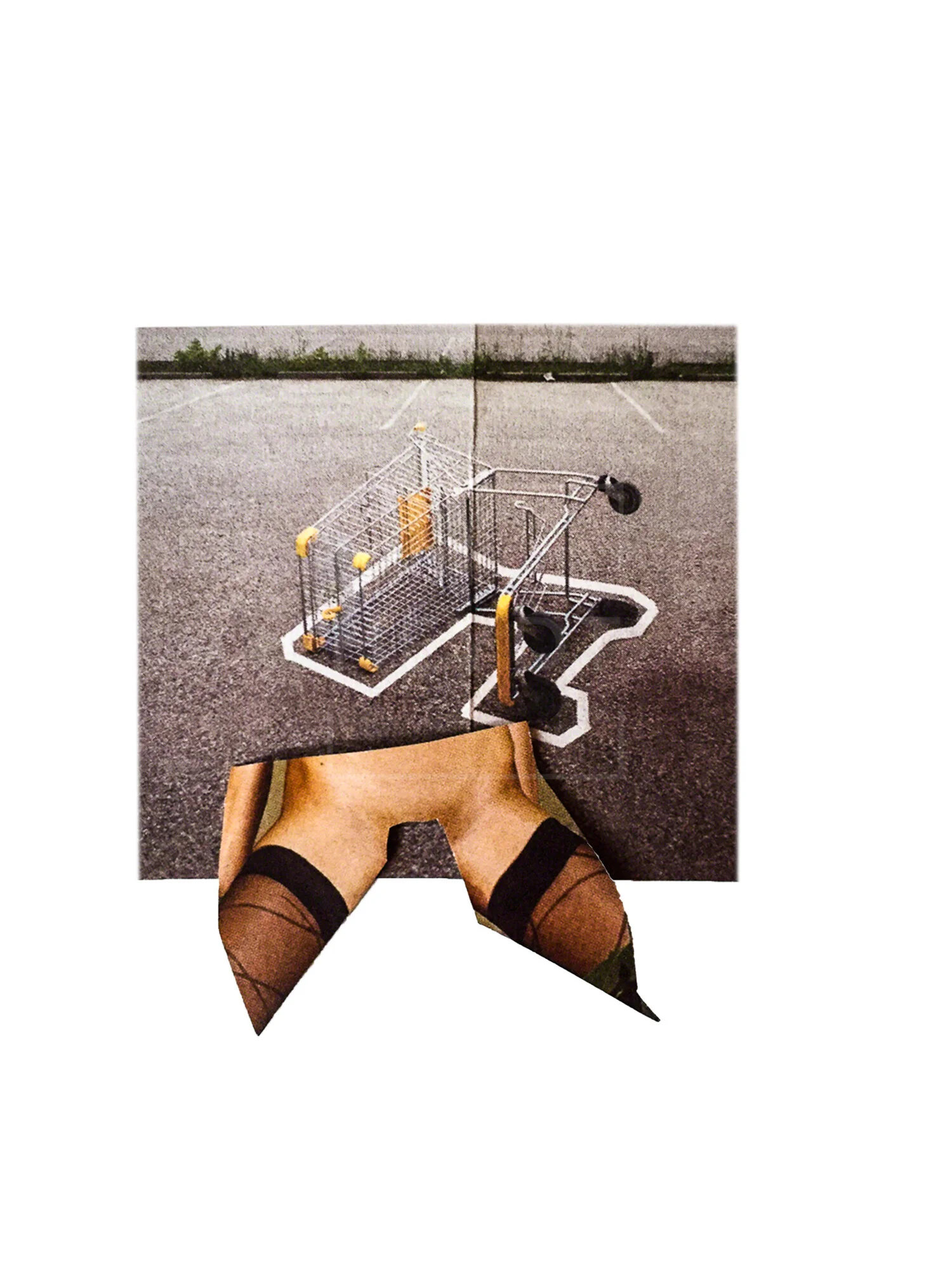 Shopping Cart