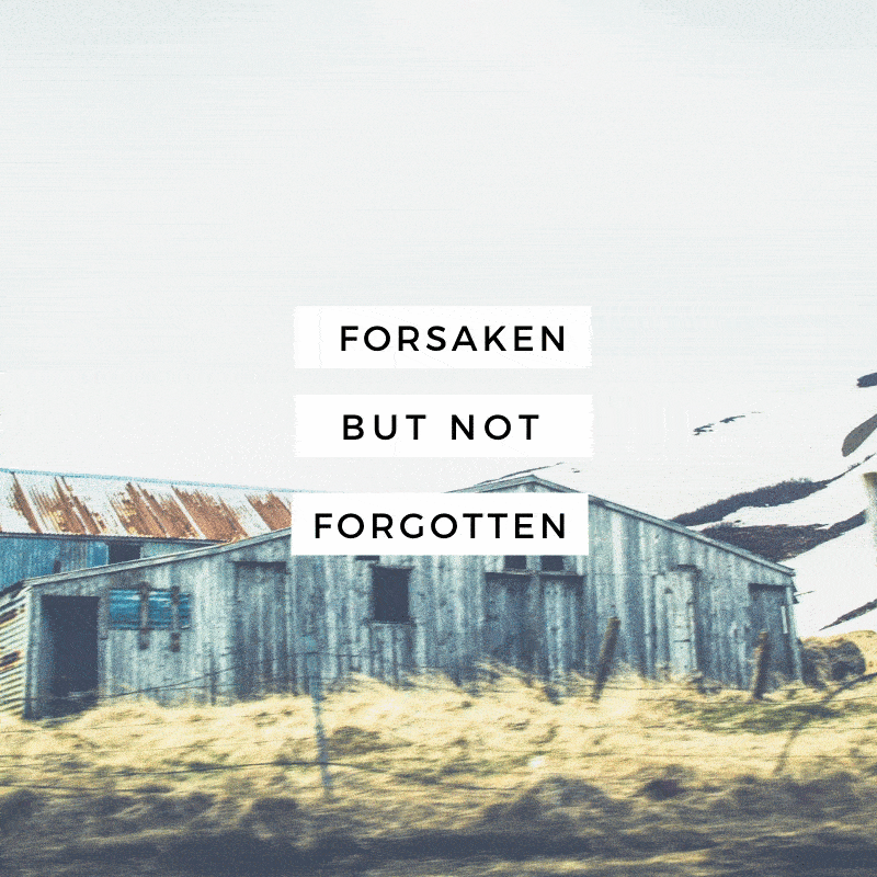 ForsakenNotFOrgotten-Icon2.gif