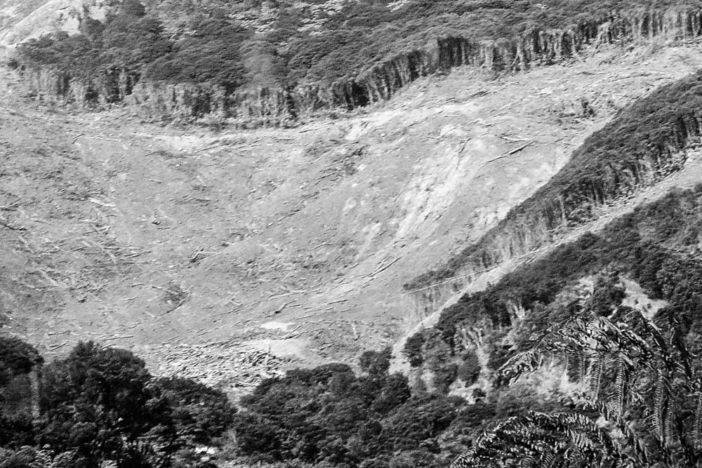 Deforestation-NewZealand-2016-HEYDT--25.jpg