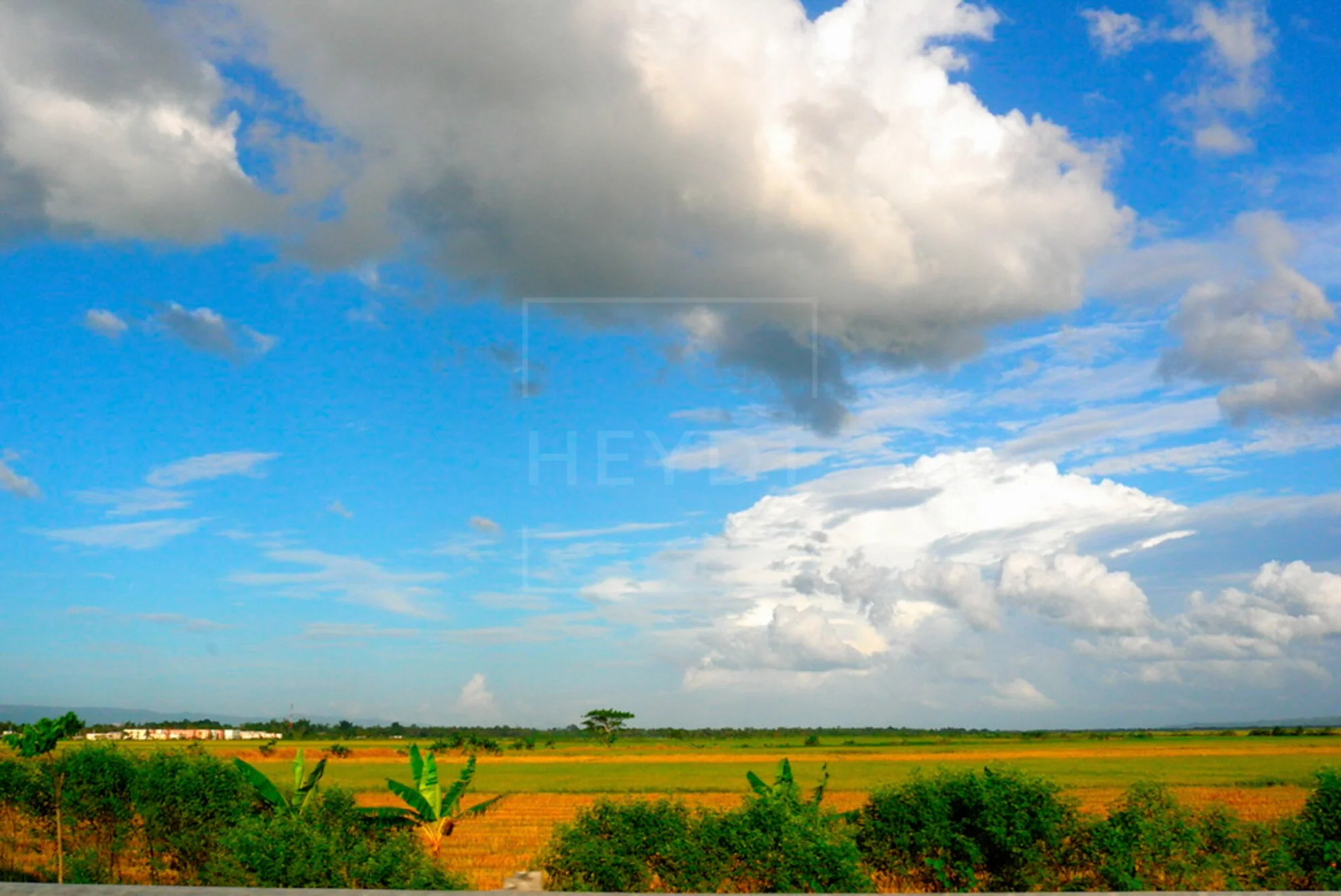 Dominican Republic