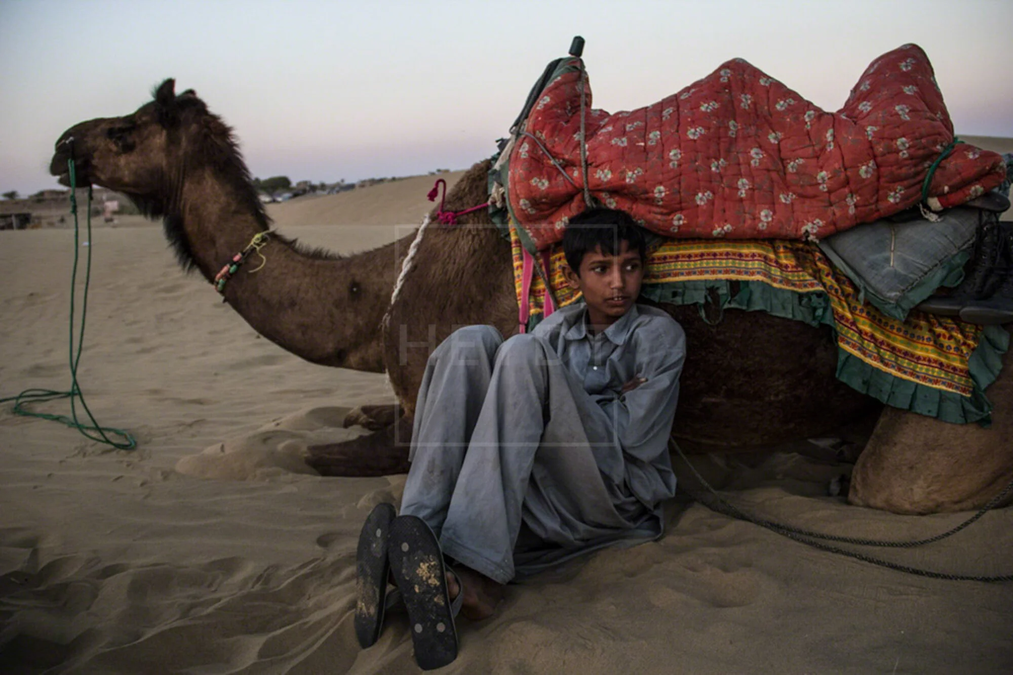  Thar Desert 