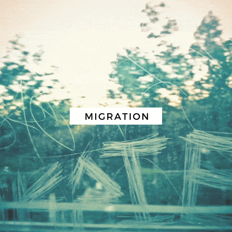 Places Never Visited: Migration