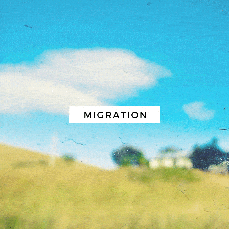 Places Never Visited: Migration