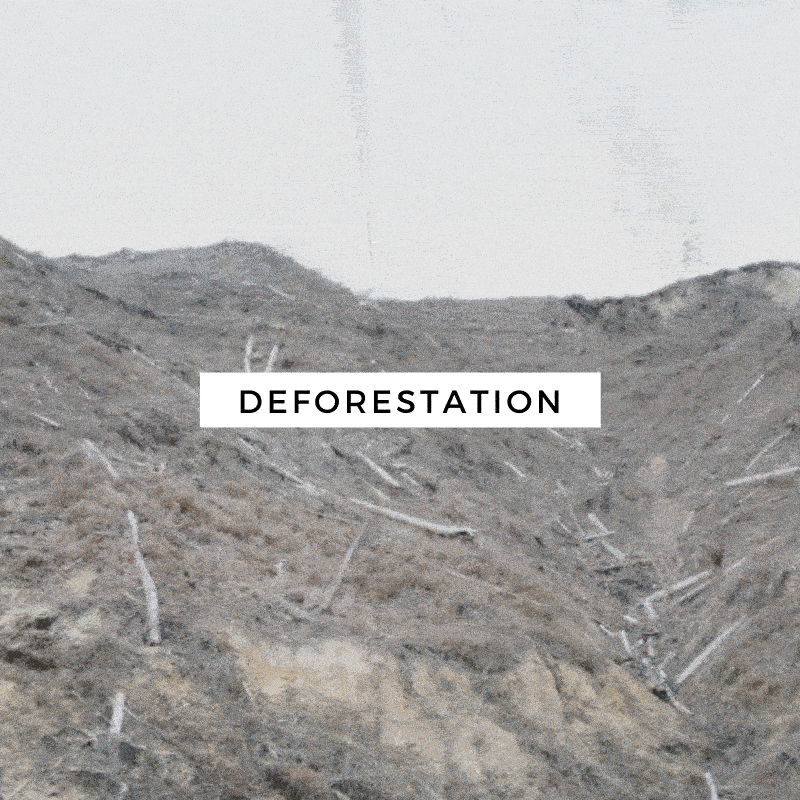 Saw Dust: Deforestation