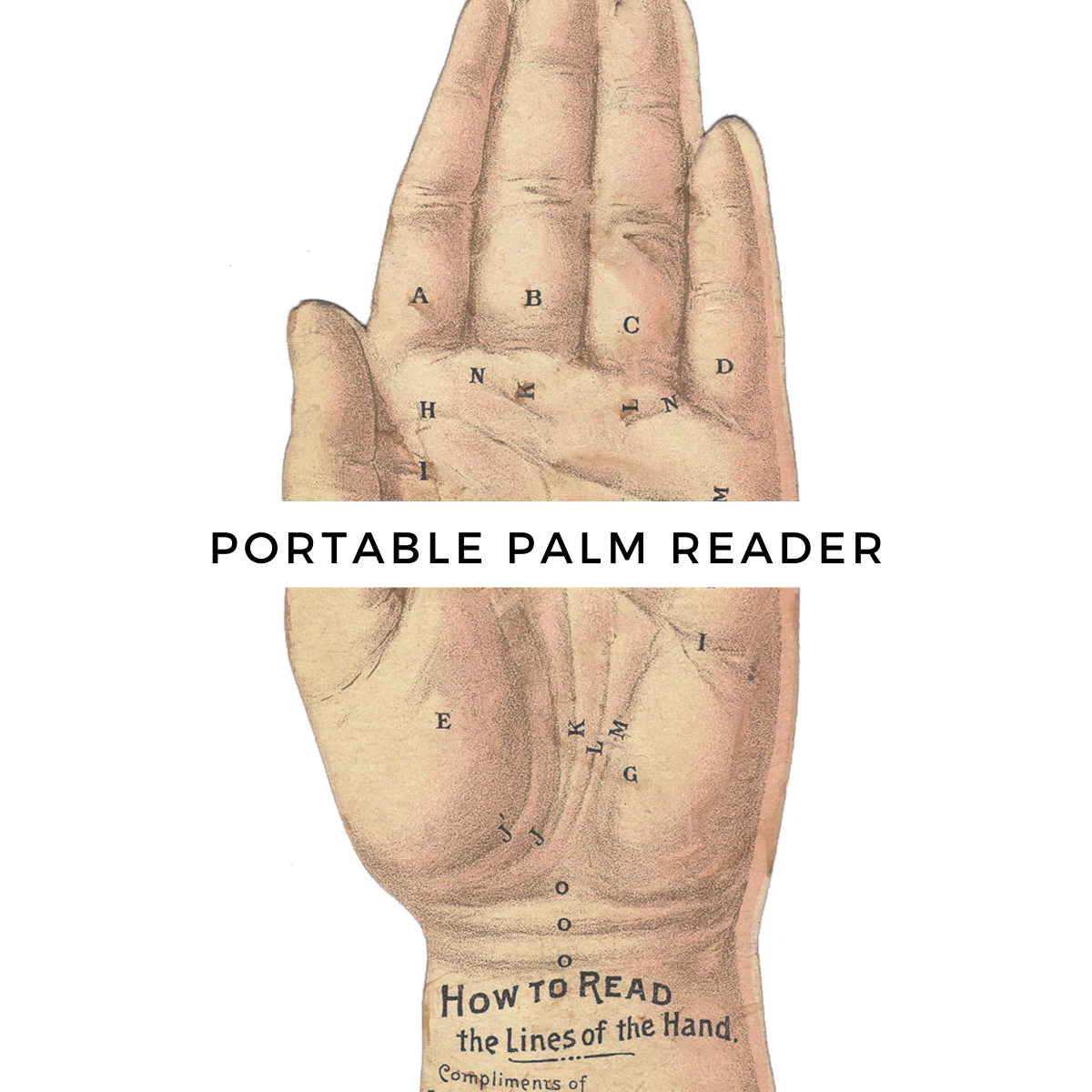 Portable Palm Reader