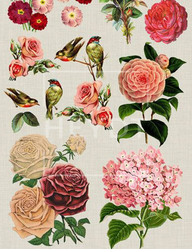  HEYDT | 2020 | Analog Assemblage 