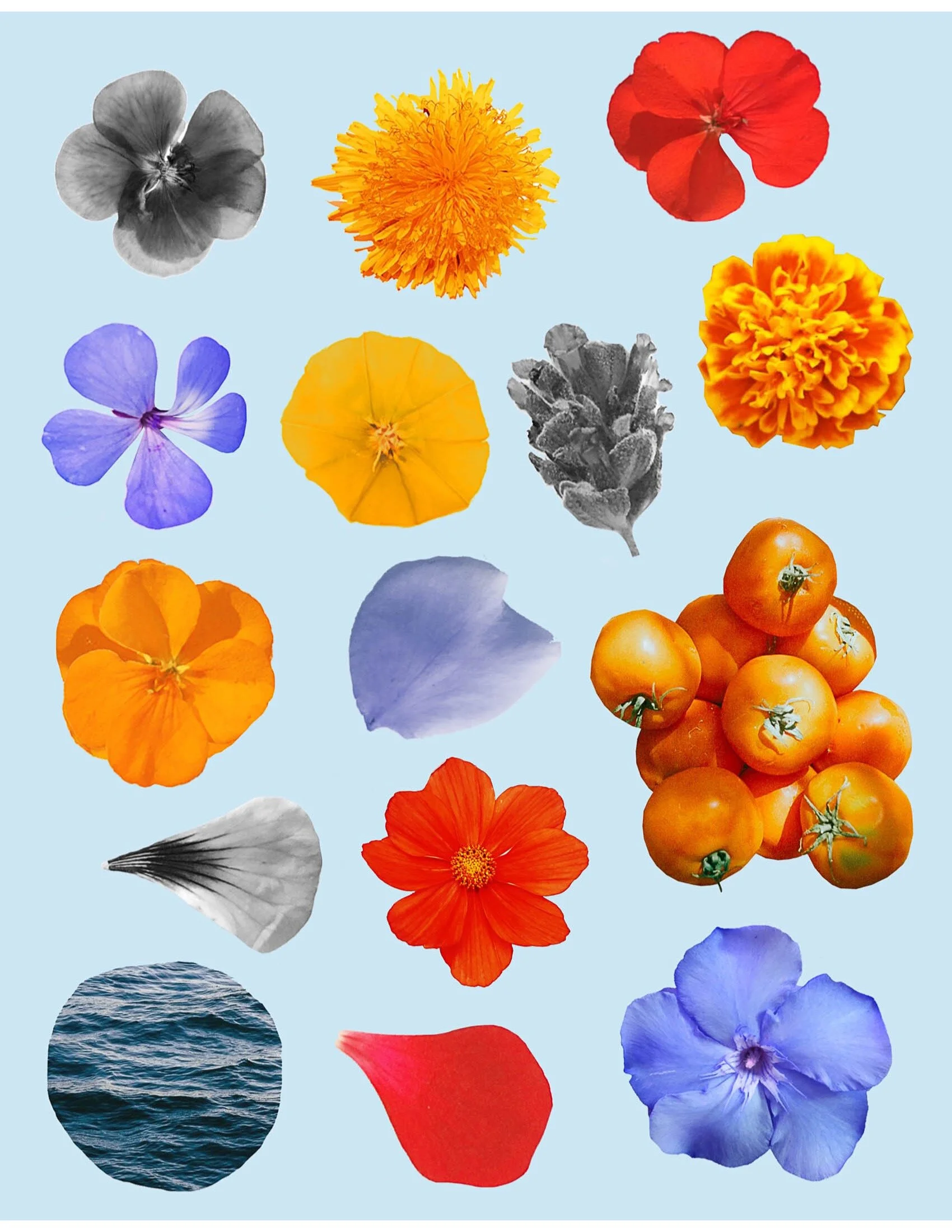 COLLAGE-Material-HEYDT-193.jpeg