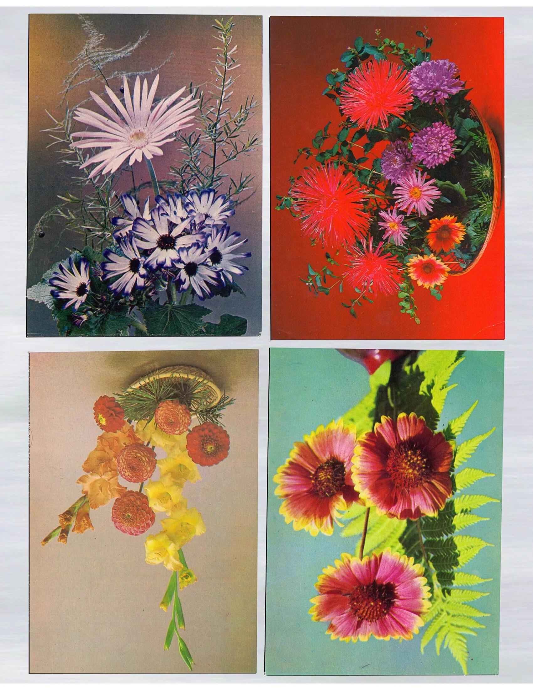 COLLAGE-Material-HEYDT-195.jpeg