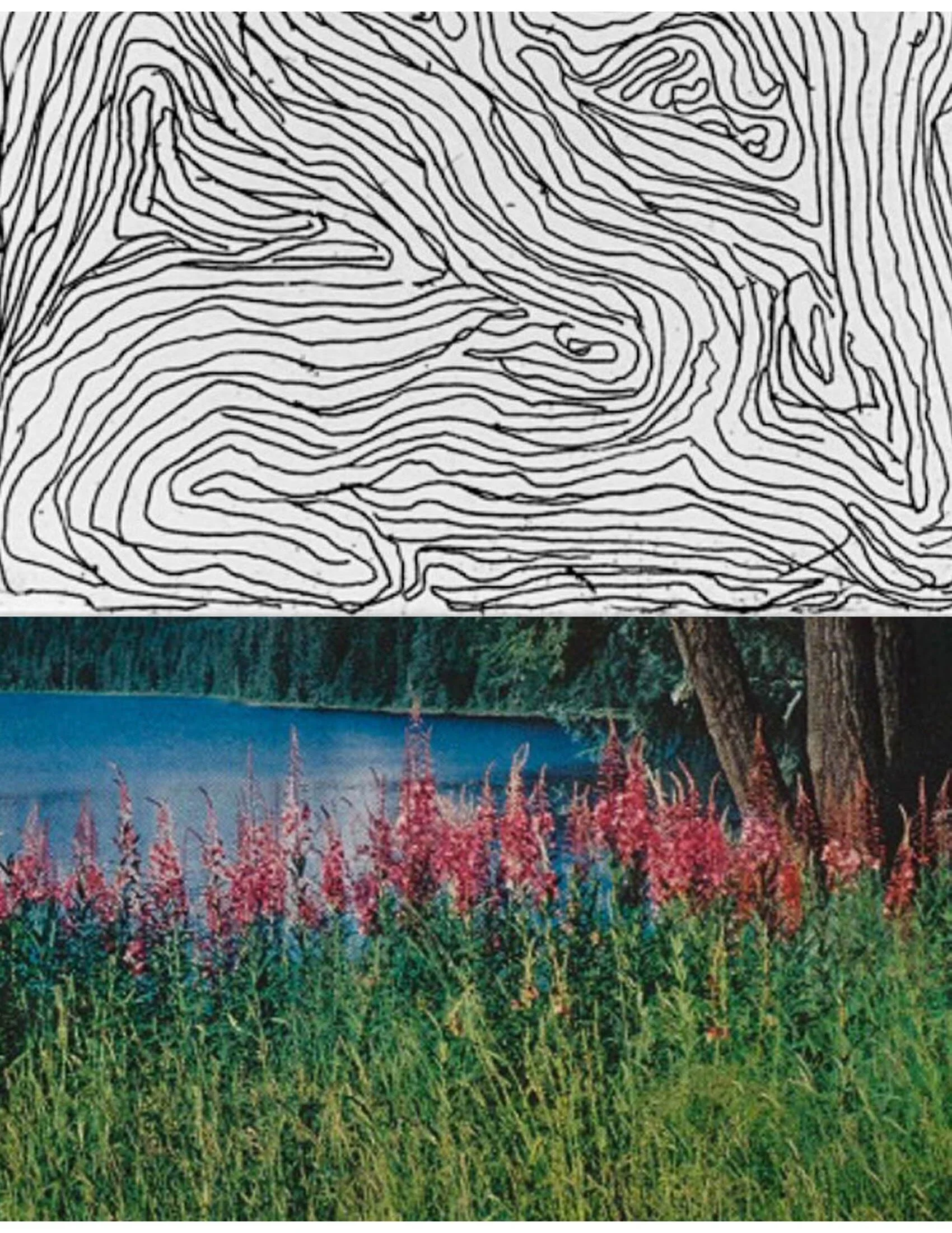 COLLAGE-Material-HEYDT-22.jpeg