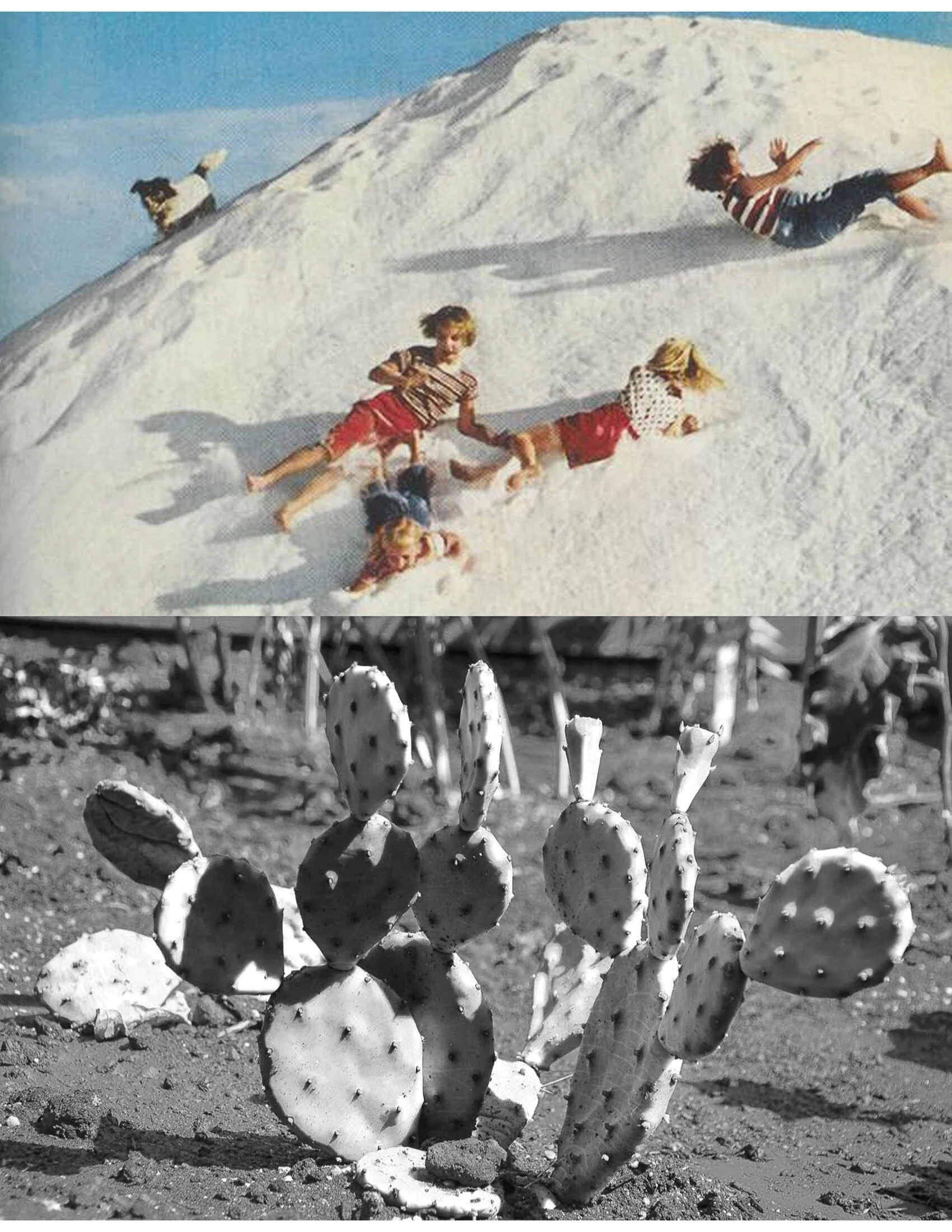 COLLAGE-Material-HEYDT-59.jpeg