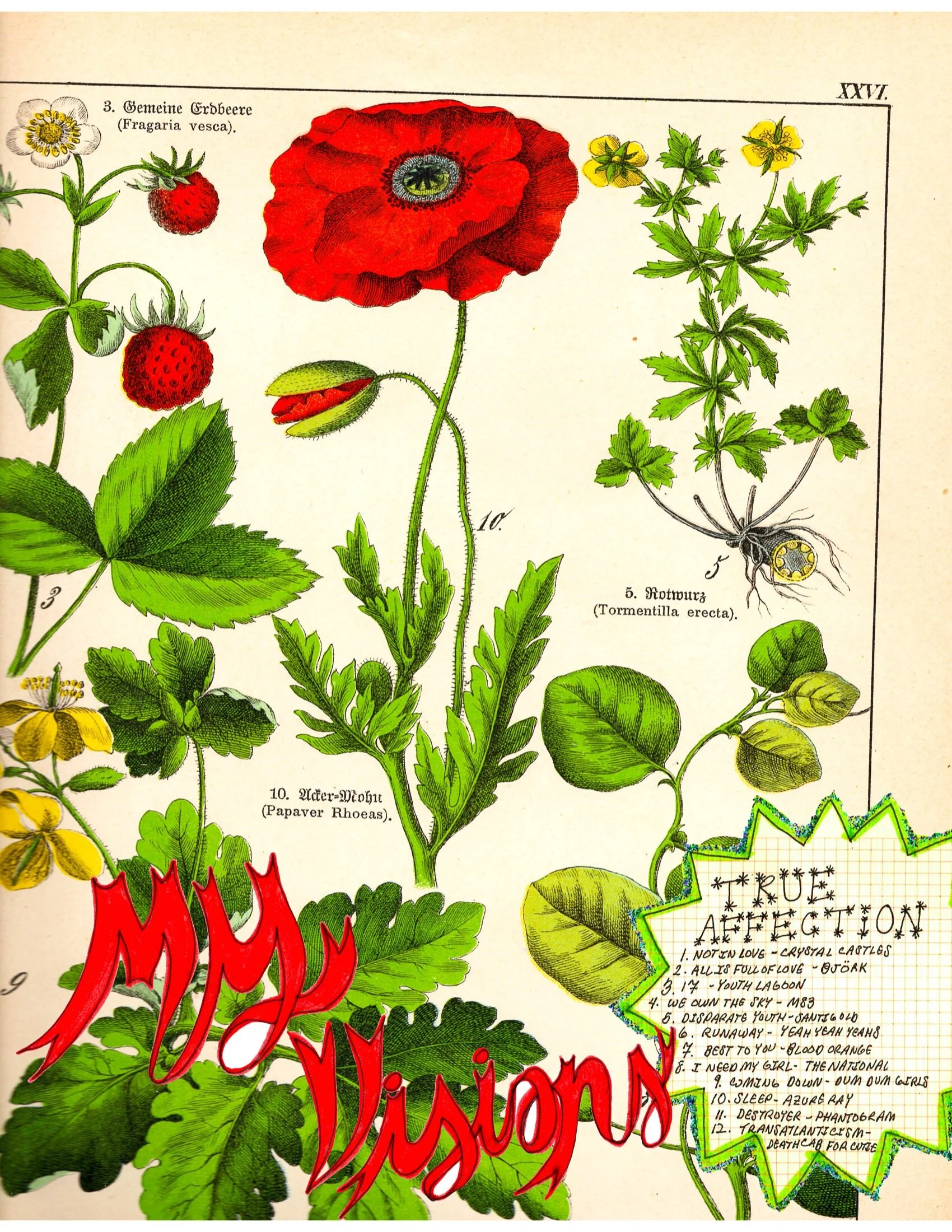 COLLAGE-Material-HEYDT-72.jpeg