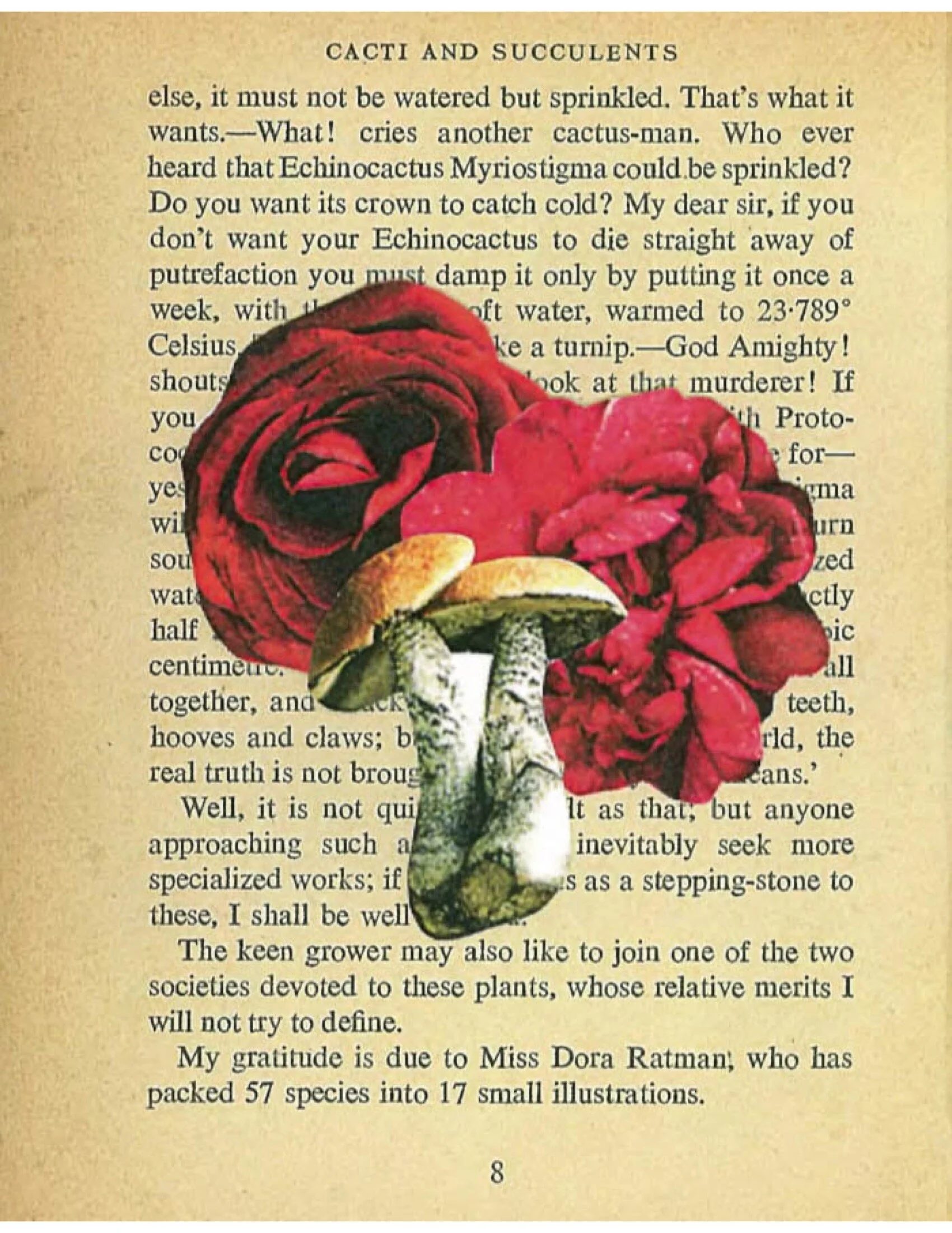 COLLAGE-Material-HEYDT-112.jpeg