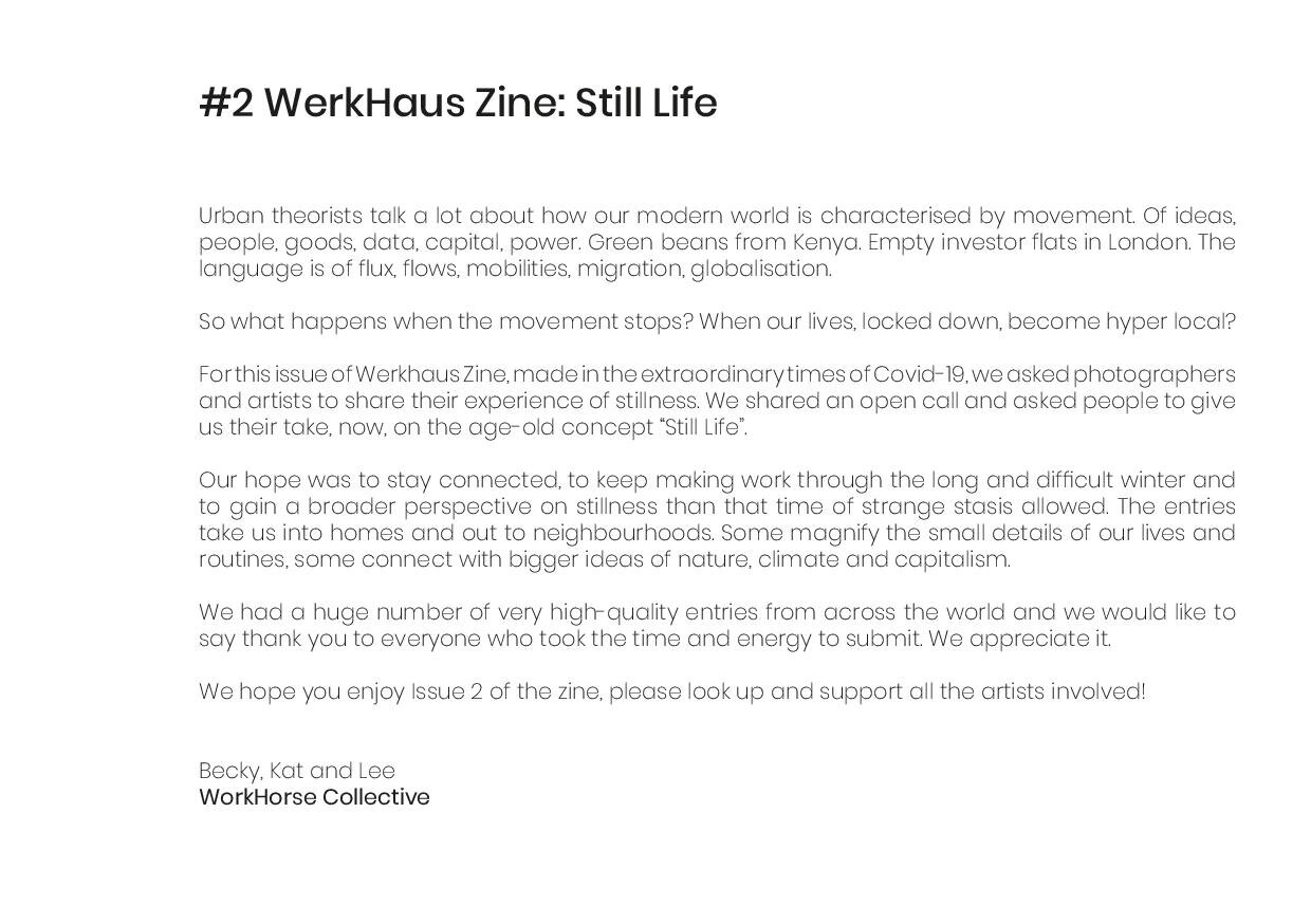 WerkHaus_Zine_#2_Still_Life-page-003.jpg