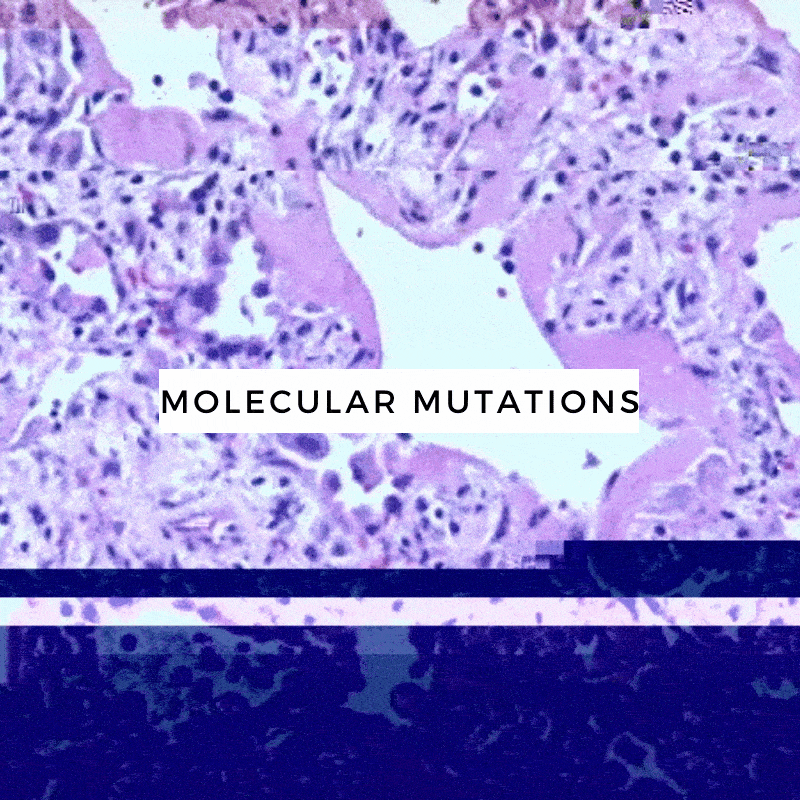Molecular Mutation