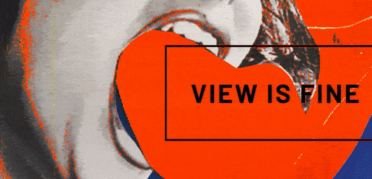 view-is-fine-banner.gif