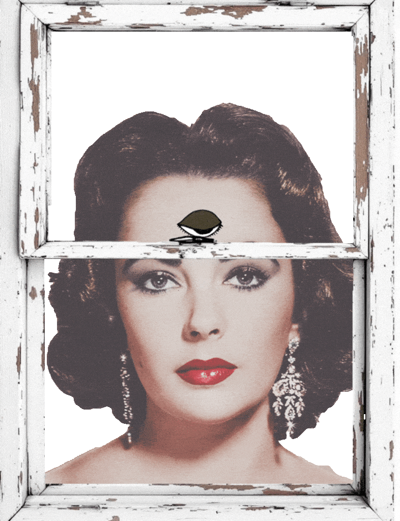 Window-HEYDT21.gif