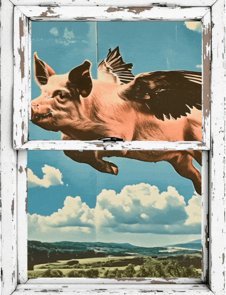 Window-HEYDT3.gif
