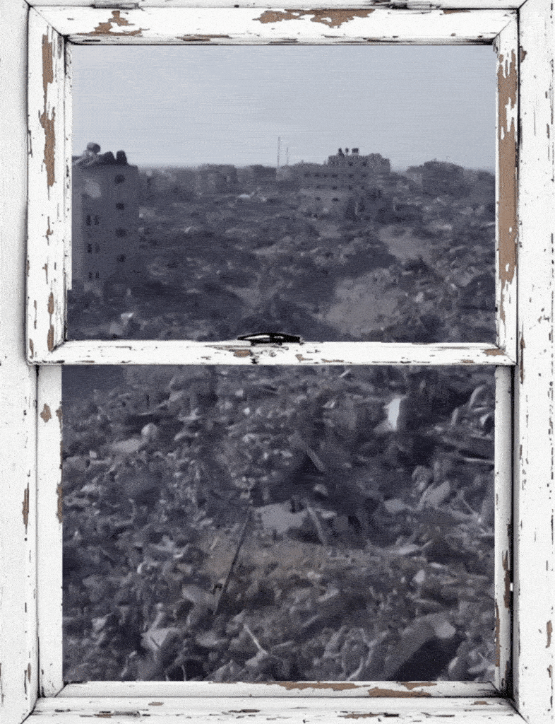 Window-HEYDT1.gif