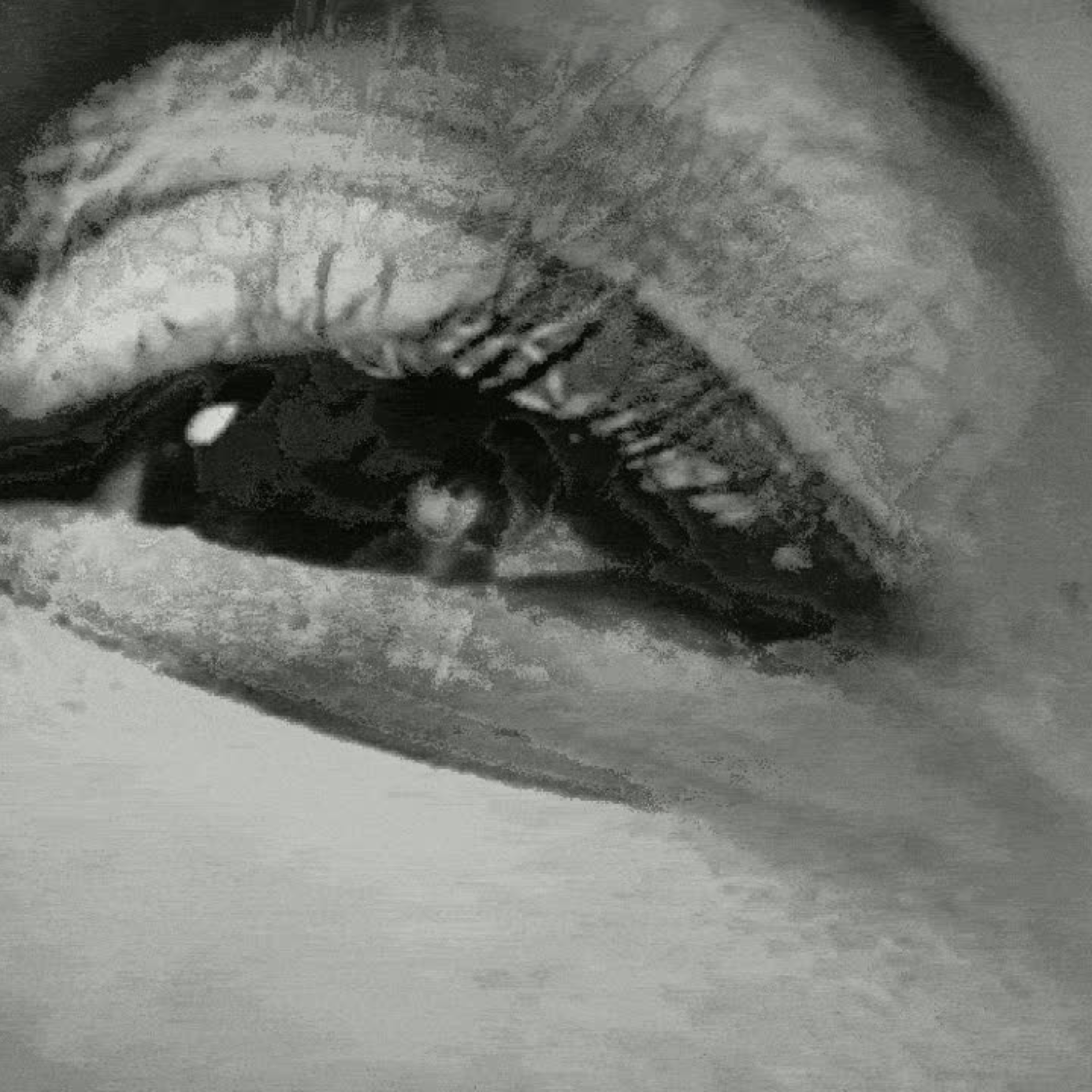 Semiotic Table of Idioms-Invite-Heydt-6.png