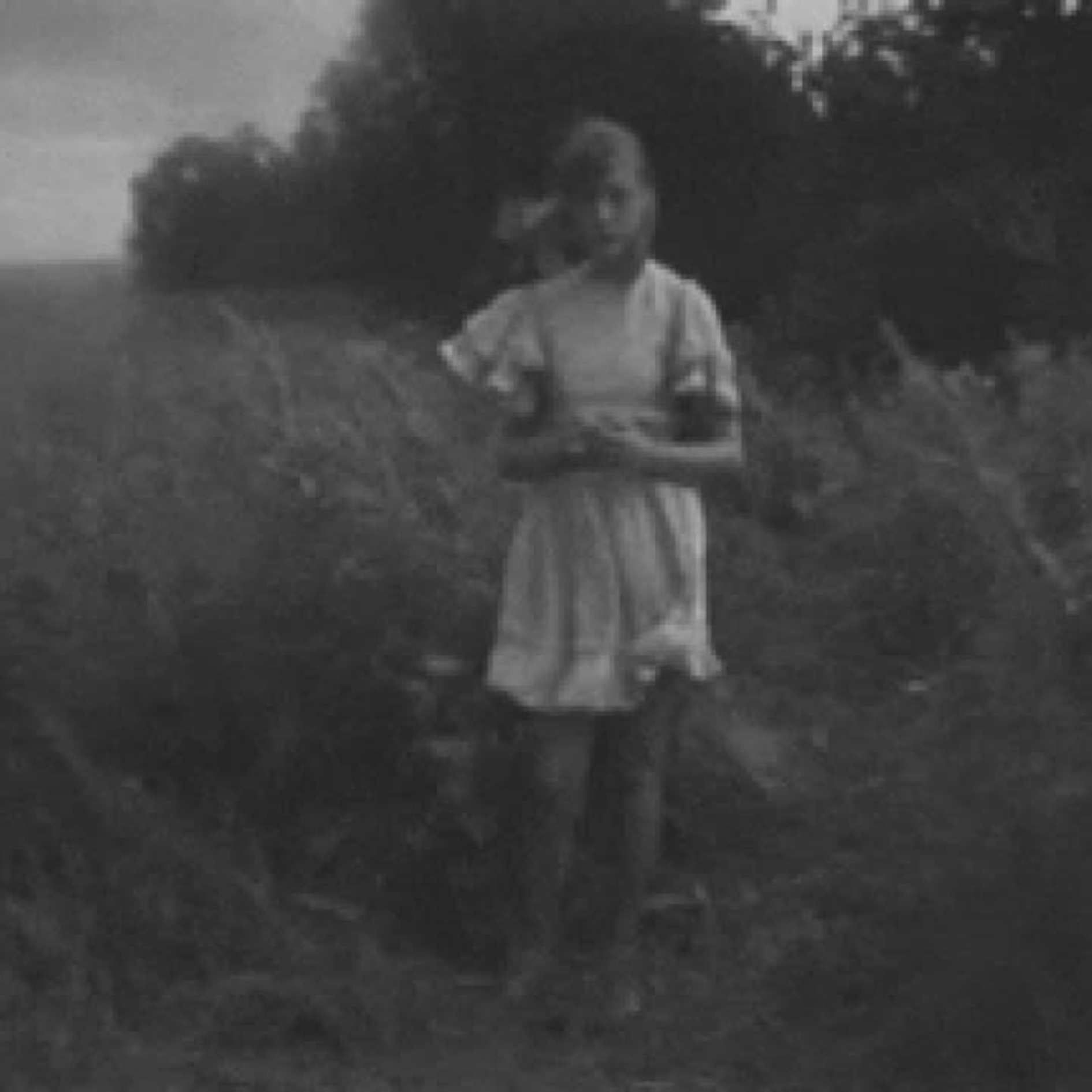 Semiotic Table of Idioms-Invite-Heydt-23.png