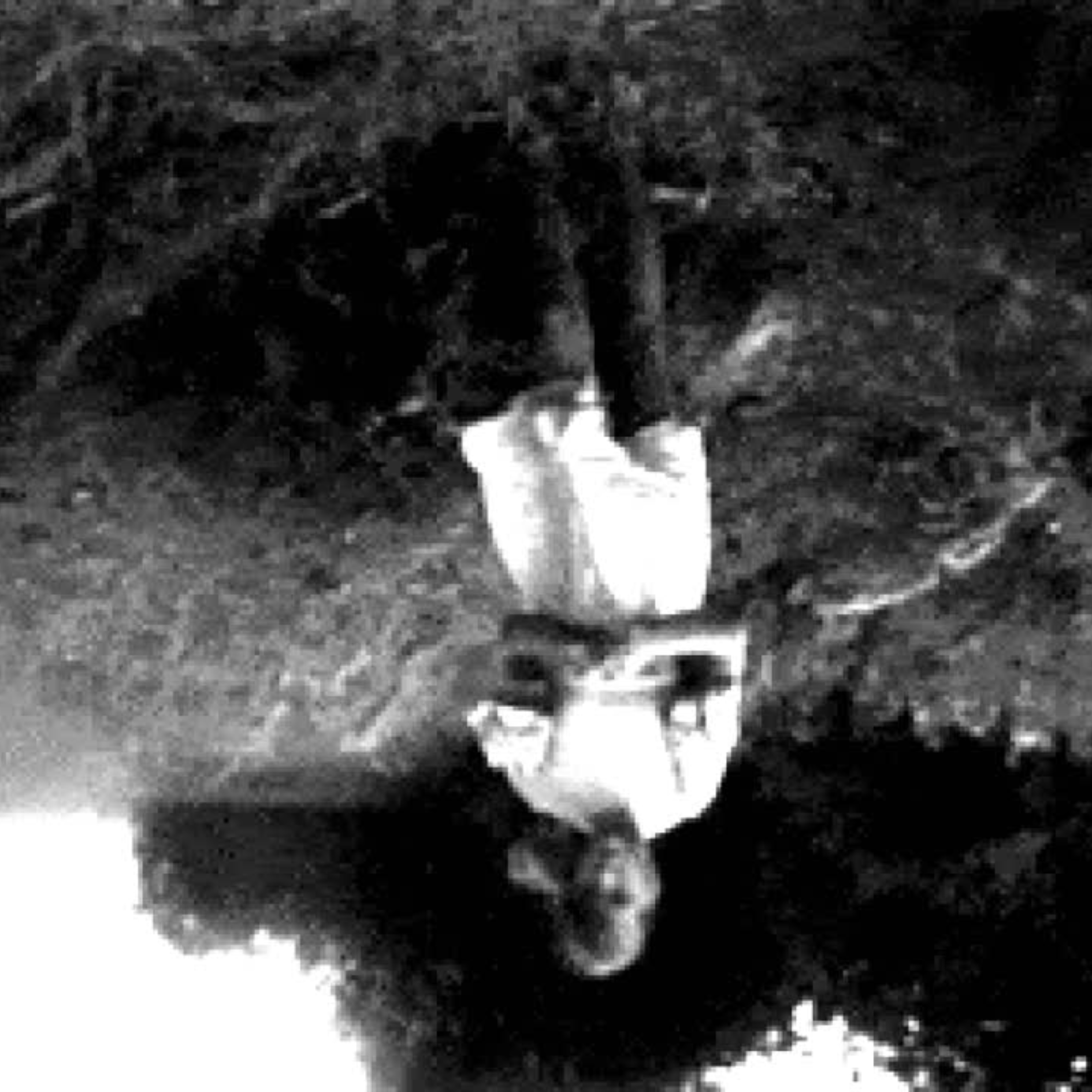 Semiotic Table of Idioms-Invite-Heydt-24.png