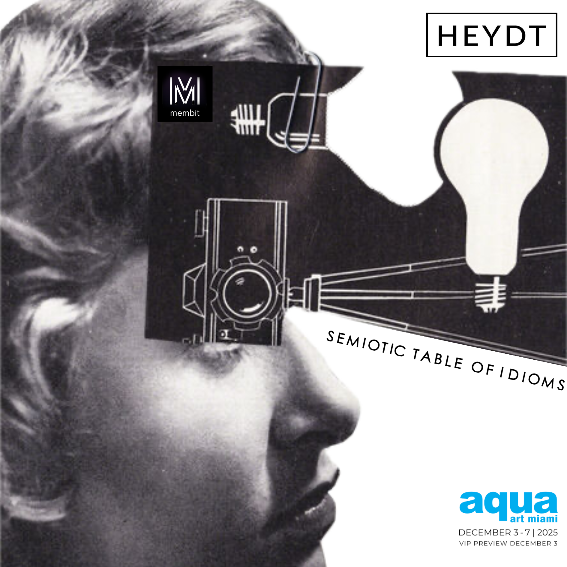 Semiotic Table of Idioms-Invite-Heydt-26.png