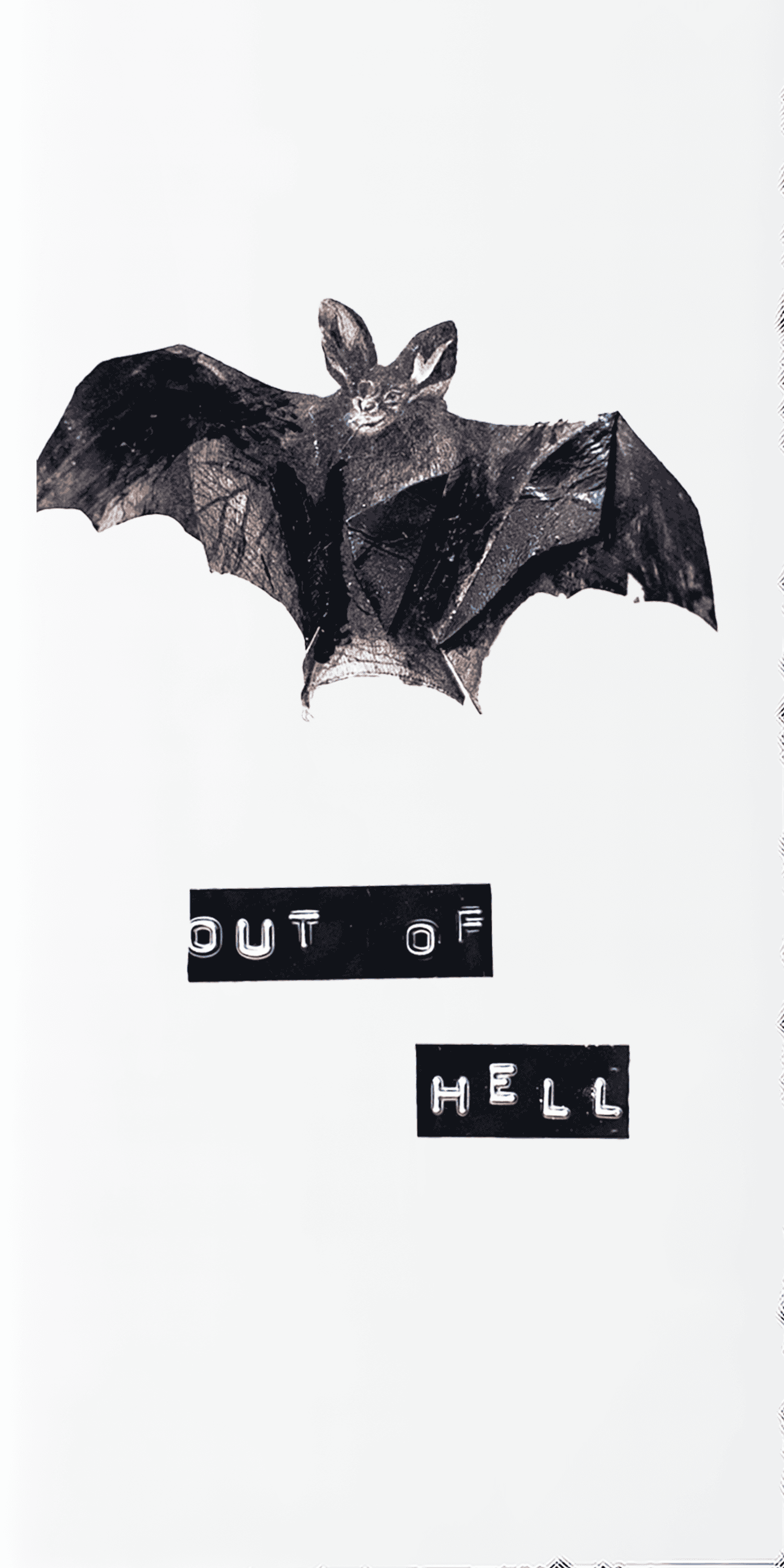 Bat out of Hell