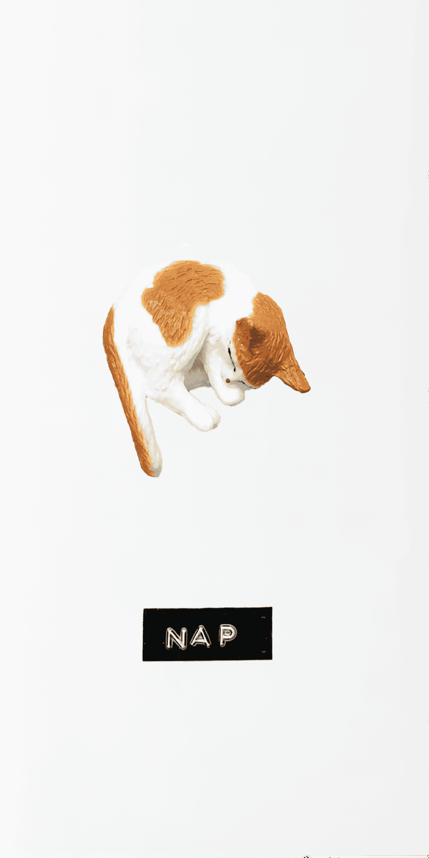 Cat Nap