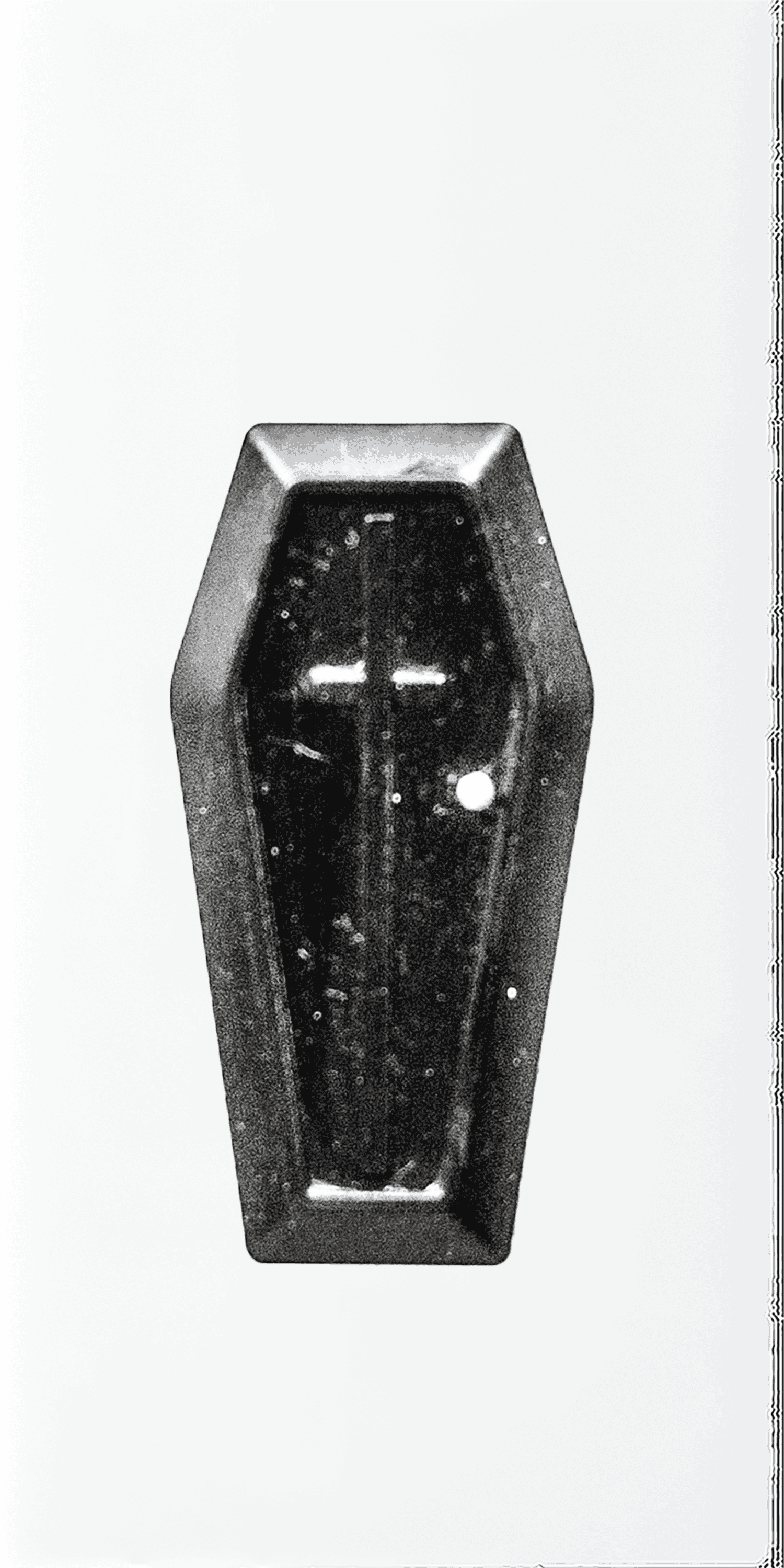 Final Nail in the Coffin.png