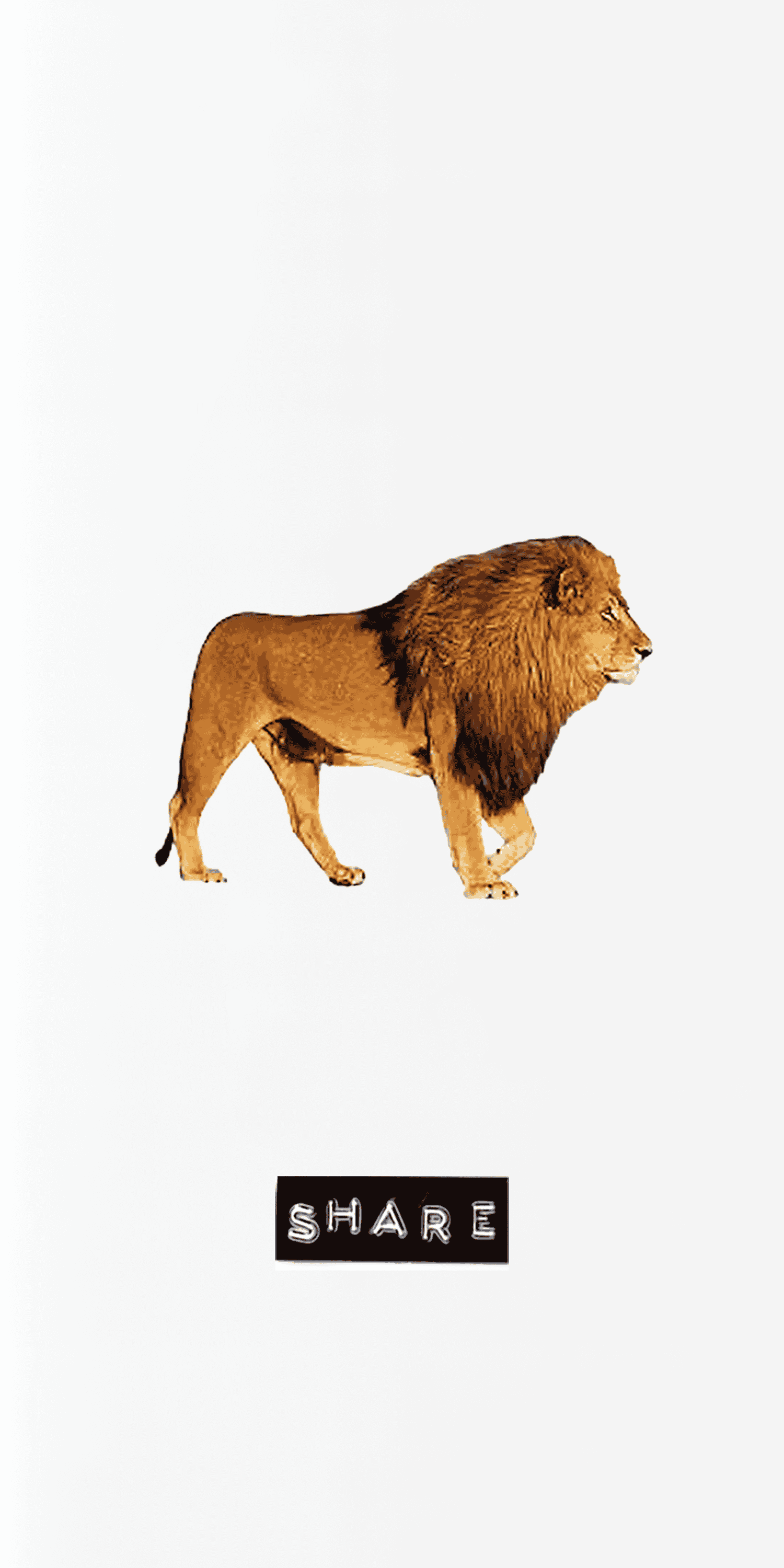 Lions Share 4.png