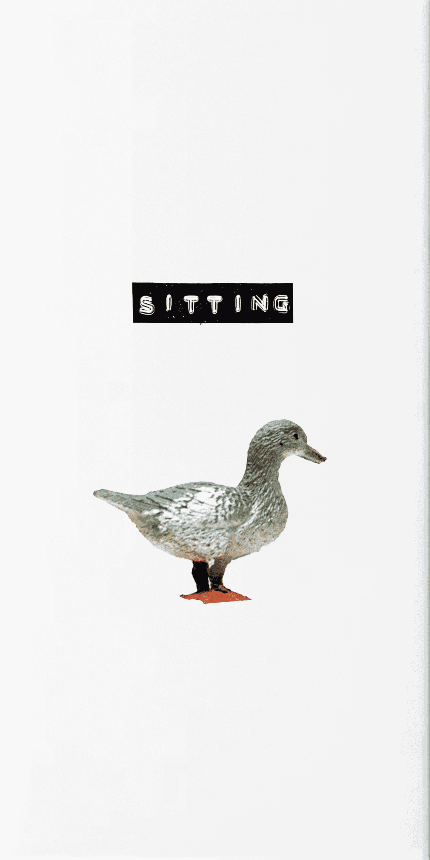 SittingDuck.png