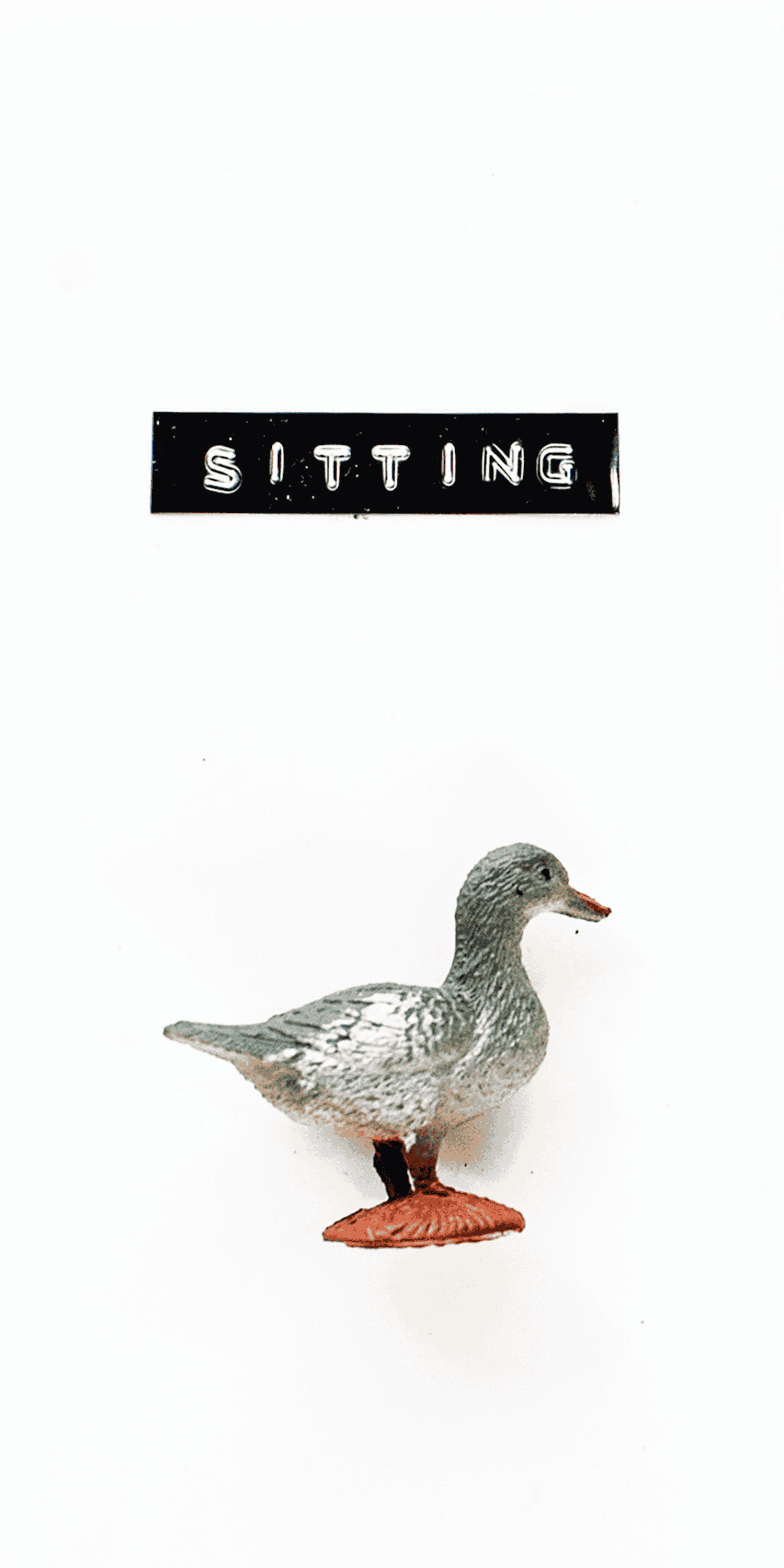 SittingDuck2.png