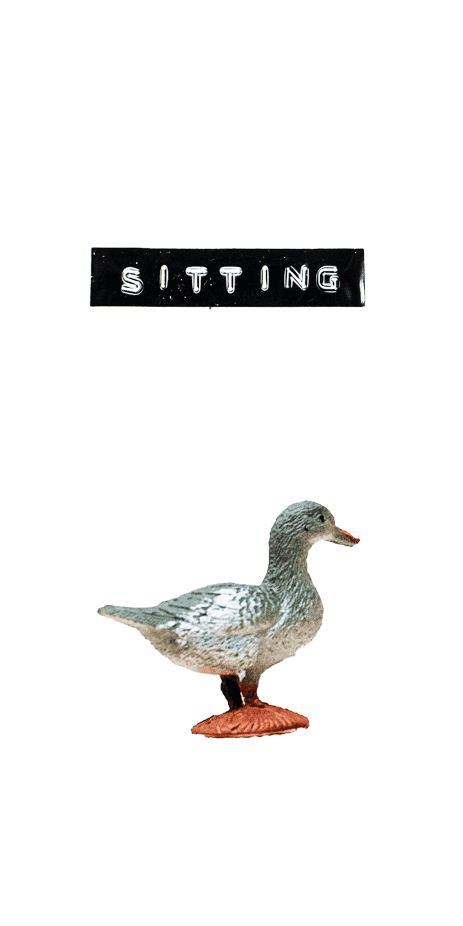SittingDuck3.png