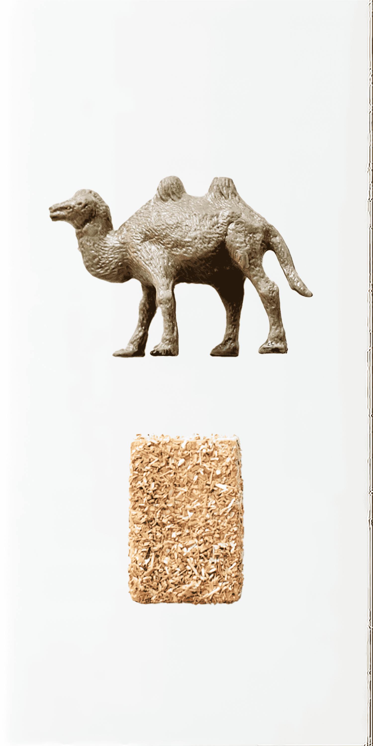 Straw that broke the camels back.png