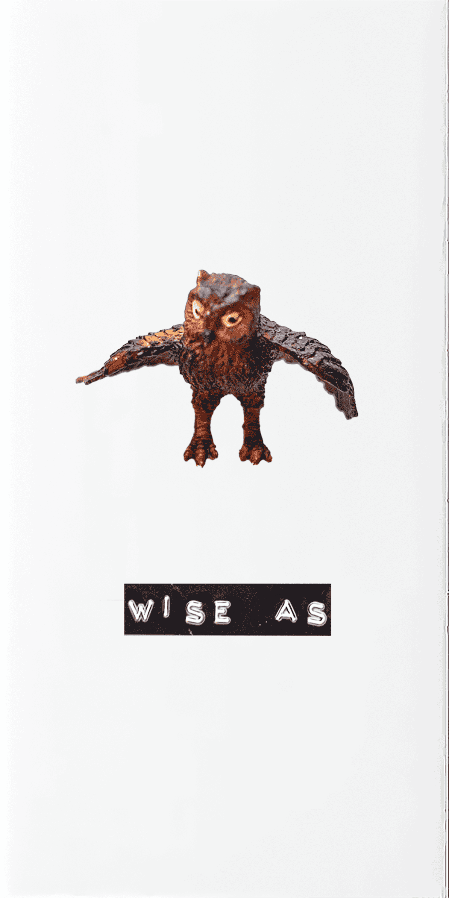 Wise as an Owl.png